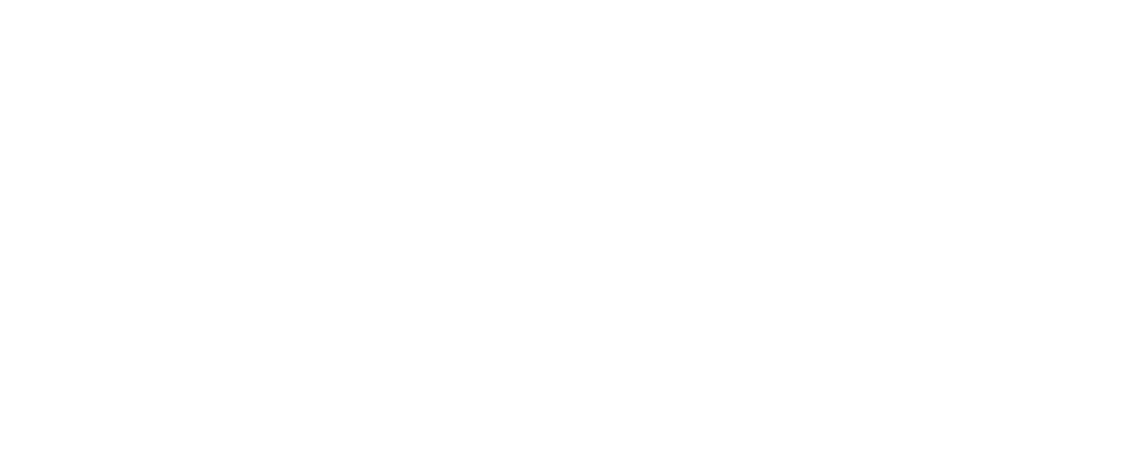 SaladPower logo